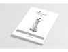 SYNERON CANDELA Profound Quick Reference Guide & User Operator