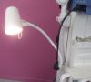 DRAEGER Drager Apollo Continuous Flow Anesthesia Machine w/ Breathing System & Module Anesthesia Machine