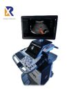 GE LOGIQ E10s ultrasound system
