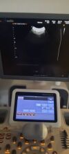 SAMSUNG V4-8 Ultrasound Transducer