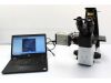 HAMAMATSU ORCA-Flash4.0 CCD Camera
