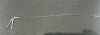 OLYMPUS 00121 Grasping Alligator Biopsy Forceps,