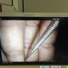PENTAX ED-3680TK Duodenoscope