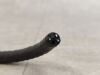 OLYMPUS GIF-XQ260 Gastroscope
