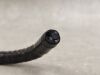 OLYMPUS PCF-H290ZI Colonoscope
