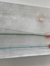TERUMO Lot of 2 Destination Fr.7  RSR06   Exp.2025-04  (Z8) Destination Fr.7