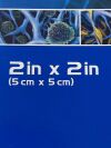 INTEGRA Meshed Bilayer Wound  MWM2021   Exp.2025-06  (H55) Meshed Bilayer Wound