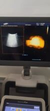 SAMSUNG V4-8 Ultrasound Transducer