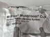 COOPER SURGICAL Lot of 10 M-Style Mushroom Cup  10007LP   Exp.2023-07  (AA2) M-Style Mushroom Cup