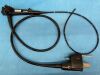 PENTAX EG-2490K Gastroscope