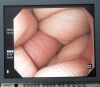 OLYMPUS OEV191H Monitor