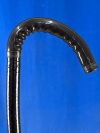 FUJINON Scope  Model: EC-600WM Colonoscope