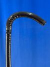 FUJINON Scope  Model: EC-600WM Colonoscope