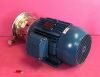 WEG W22 2020   Electric Motor 10 HP 3 Phase 20208V   Packo Fluid Drain Pump