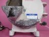 RAY FOSTER MT10 Wet Dry Dental  Trimmer 1/3HP, 1725RPM, 10" Disc, 115V