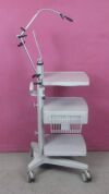 PERIMED Mobile Endoscopy Cart Stand Endoscopy Cart Mobile Stand, 3 Shelves, Drawer, Monitor Mount, Flex Arm