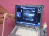 GE Portable Ultrasound Machine w/ Probe & Docking DR