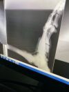 ANN ARBOR A2D2 Podiatric X-Ray