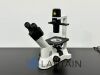 NIKON TS100 Microscope