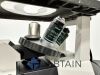NIKON TS100 Microscope
