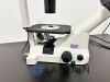 NIKON TS100 Microscope