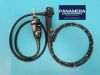 OLYMPUS PCFH190DL Colonoscope