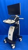 GE HEALTHCARE LOGIQ P10 R4 Ultrasound
