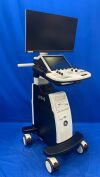 GE HEALTHCARE LOGIQ P10 R4 Ultrasound