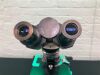 FISHER SCIENTIFIC Micromaster w/ 4 Objectives Microscope