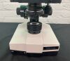 SEILER WESTLAB w/ 4 Objectives Microscope