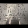 V. MUELLER and  Brands Surgical Clamps