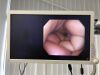 OLYMPUS PCF-H290ZI Colonoscope