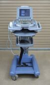SONOSITE Titan High-Resolution Imaging System W/ C15/4-2 MHz &amp; Cart - 207959 Monitor