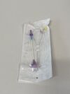 TERUMO Femoral Access Introducer Sheath, Coronary w/0.038" x 45cm Mini Guidewire, 10F x 10cm  RSS002   Exp.2025-02  (AA13) Pinnacle Fr.10