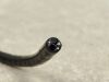 OLYMPUS GIF-1200N Gastroscope