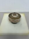EIMAC 3CX800A7  RF Power Triode Tube - Tested to ...