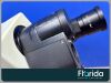 OLYMPUS CX31 Microscope Binocular