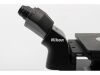 NIKON Ti2-U Microscope