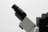 OLYMPUS IX73 Microscope