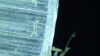 ZEISS AXIO Observer Z1M Microscope