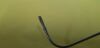 OLYMPUS Wt335405 Grasping  cupped jaws, vertical opening, curved