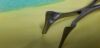 OLYMPUS Wt141401 Nasal Spec, acc. to Vien, light-weight,  size