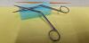 OLYMPUS 326009 Gyrus ACMI  Nasal small size, working length 9 cm