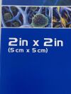 INTEGRA Meshed Bilayer Wound Matrix 2 inch x 2 inch  MWM2021  Exp.2025-08  (AA19) Meshed Bilayer