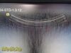 SIEMENS/ACUSON 2011 Siemens 4C1 Convex Array Probe, P/N 08259644 ~ Ultrasound Transducer