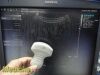 SIEMENS/ACUSON 2013 Siemens 4C1 Convex Array Ultrasound Transducer
