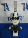 LEICA DM LB Microscope