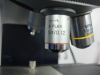 LEICA DM LB Microscope