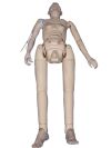 NASCO Life Form Simulator Patient Simulator