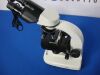 ZUZI 50119028 Microscope Binocular